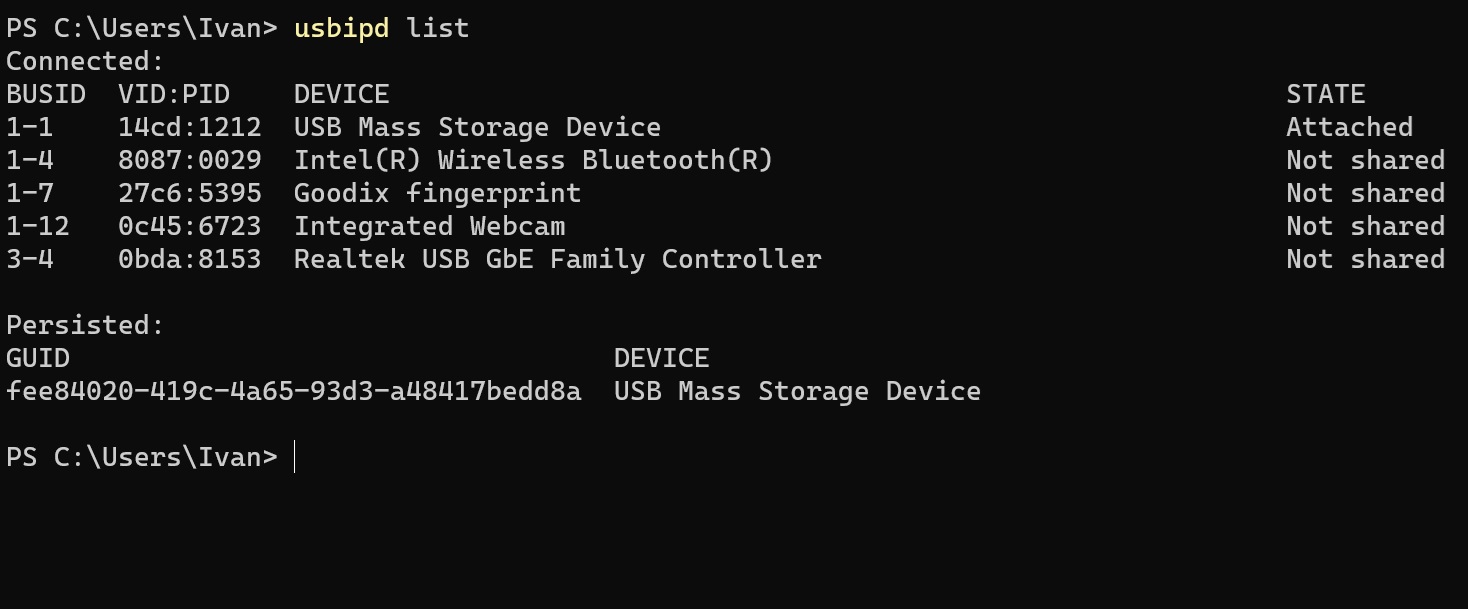 Make USB flash drives visible for your WSL in Windows